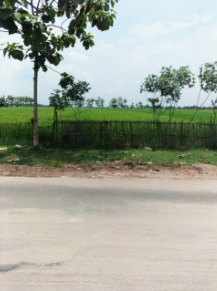 DIJUAL TANAH SAWAH DEKAT JALAN UTAMA