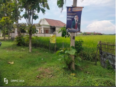 DIJUAL TANAH SAWAH DEKAT JALAN UTAMA