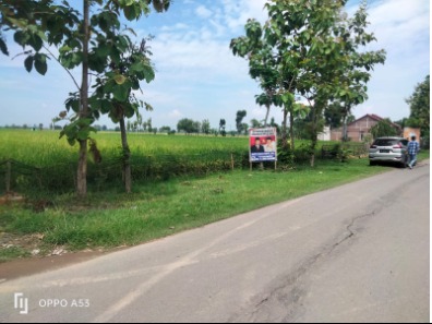 DIJUAL TANAH SAWAH DEKAT JALAN UTAMA