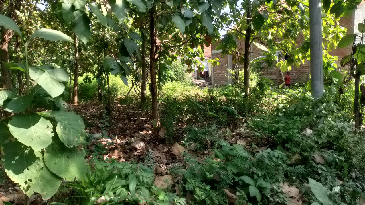 DIJUAL TANAH PEKARANGAN DOLOPO MADIUN