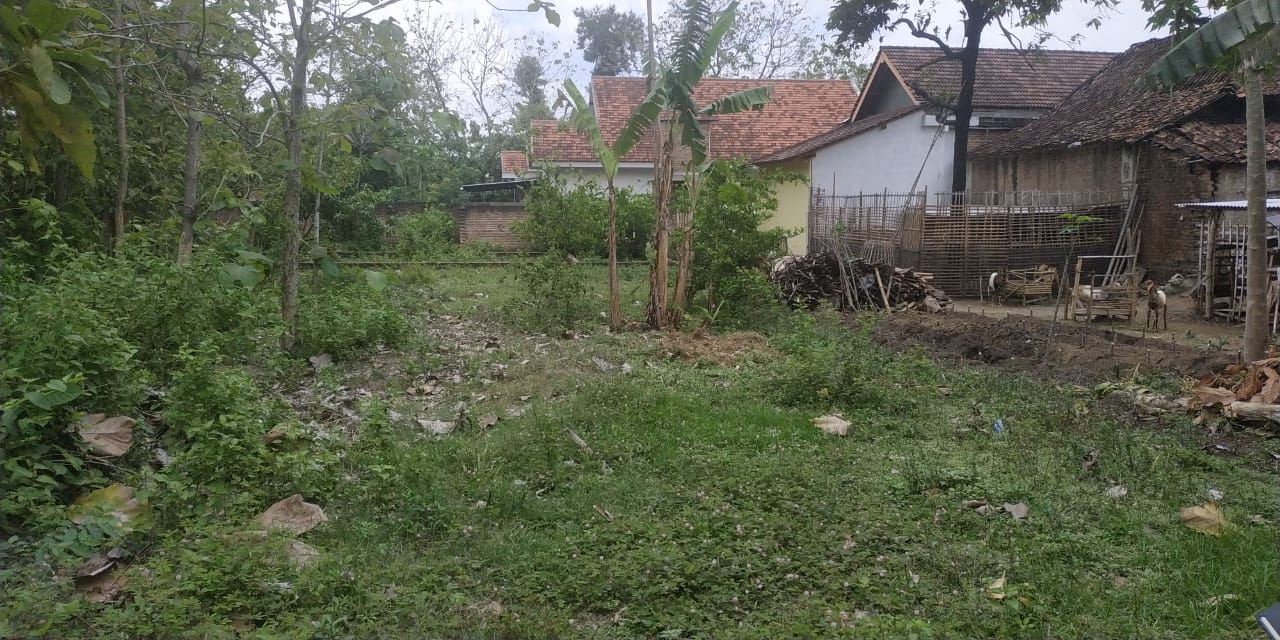 DIJUAL TANAH PEKARANGAN DOLOPO MADIUN