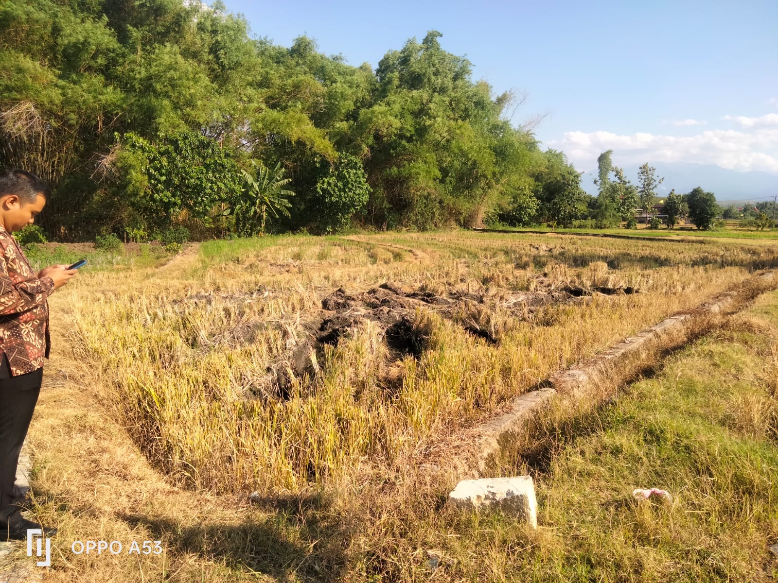 DIJUAL TANAH SAWAH MEJAYAN CARUBAN