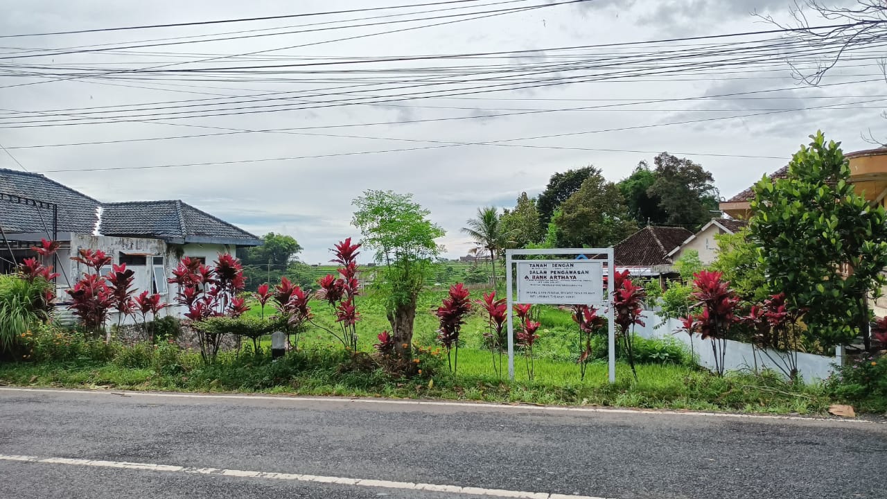 DIJUAL TANAH SAWAH DEKAT JALAN RAYA