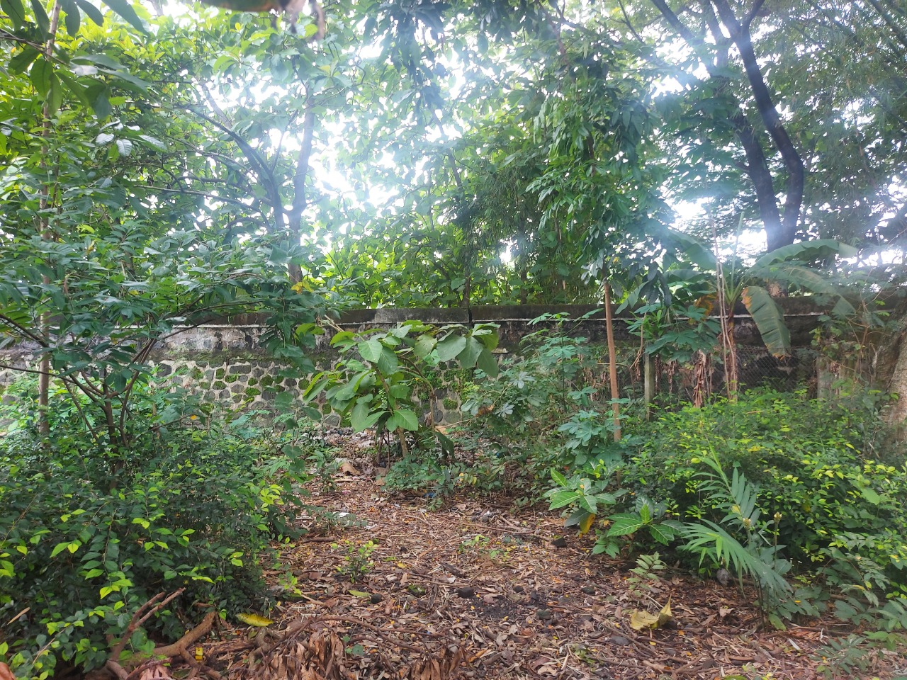 DIJUAL TANAH PEKARANGAN DI NGAWI