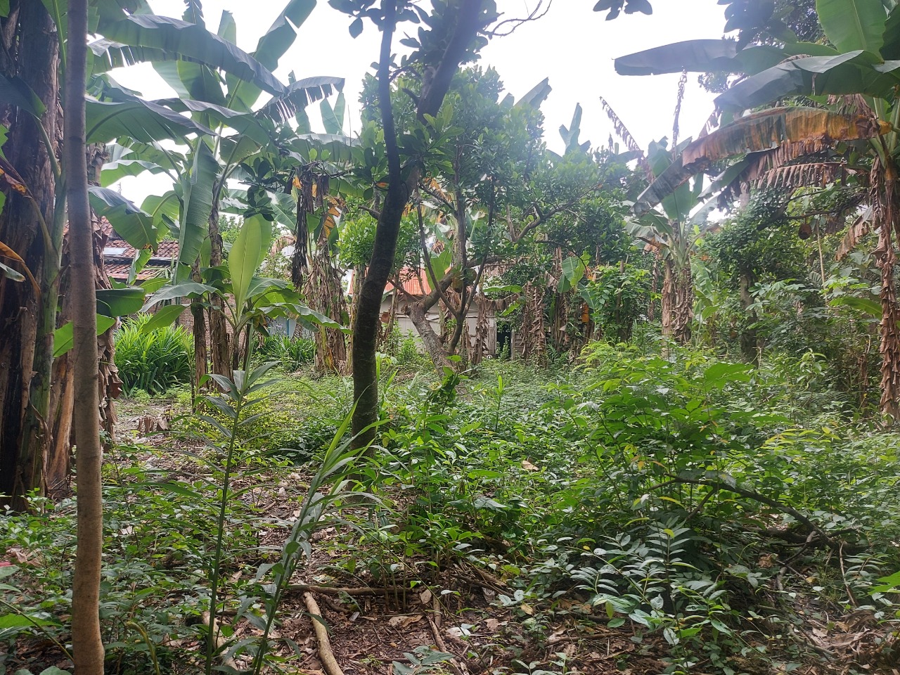 DIJUAL TANAH PEKARANGAN DI NGAWI